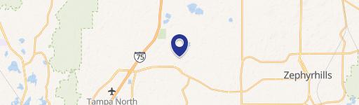 Wesley Chapel, FL 33545