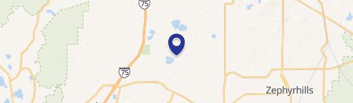 Wesley Chapel, FL 33545