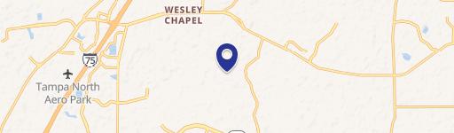 Wesley Chapel, FL 33543