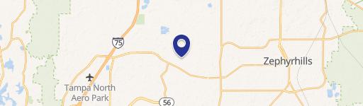 Wesley Chapel, FL 33545