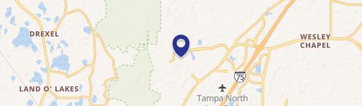 Wesley Chapel, FL 33544