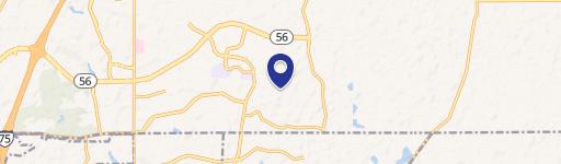 Wesley Chapel, FL 33543