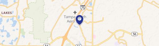 Wesley Chapel, FL 33544