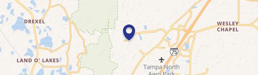 Wesley Chapel, FL 33544