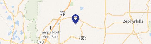 Wesley Chapel, FL 33543