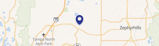 Wesley Chapel, FL 33545