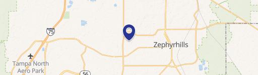 Zephyrhills, FL 33541