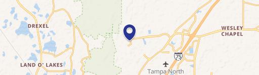 Wesley Chapel, FL 33544