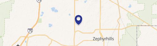 Zephyrhills, FL 33541