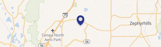 Wesley Chapel, FL 33543