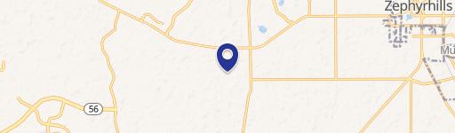 Wesley Chapel, FL 33543