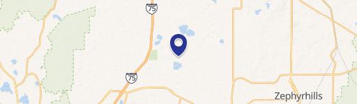 Wesley Chapel, FL 33545