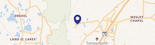 Wesley Chapel, FL 33544