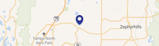 Wesley Chapel, FL 33545