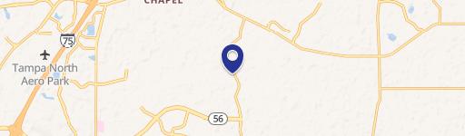 Wesley Chapel, FL 33543