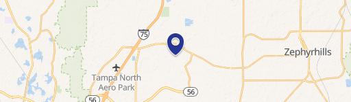 Wesley Chapel, FL 33543