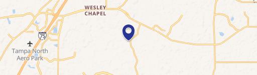 Wesley Chapel, FL 33543