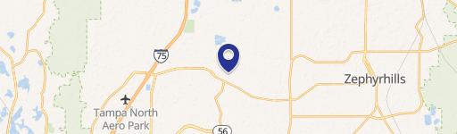 Wesley Chapel, FL 33545