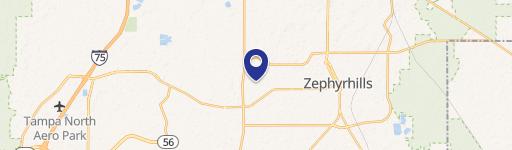 Zephyrhills, FL 33541