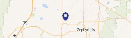 Zephyrhills, FL 33541