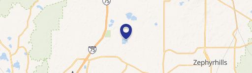 Wesley Chapel, FL 33545