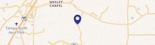 Wesley Chapel, FL 33543