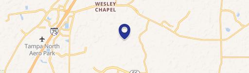 Wesley Chapel, FL 33543