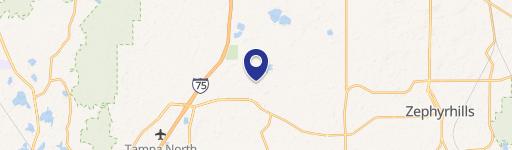 Wesley Chapel, FL 33545