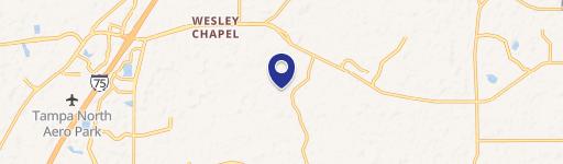 Wesley Chapel, FL 33543