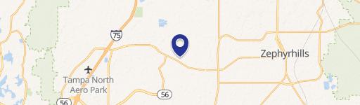 Wesley Chapel, FL 33545