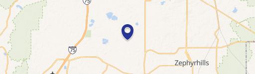 Wesley Chapel, FL 33545