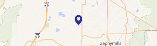 Wesley Chapel, FL 33545