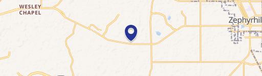 Wesley Chapel, FL 33543