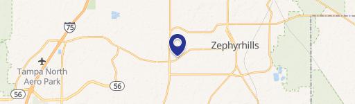Zephyrhills, FL 33541