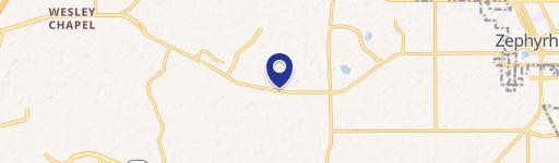 Wesley Chapel, FL 33543