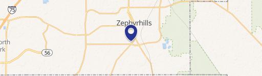 Zephyrhills, FL 33541