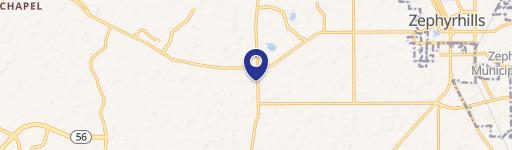 Wesley Chapel, FL 33543