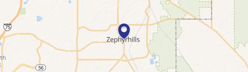 Zephyrhills, FL 33542