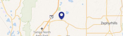 Wesley Chapel, FL 33543