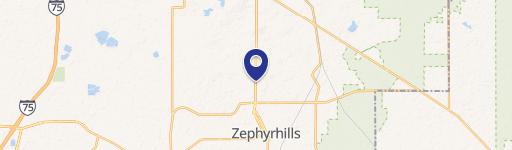 Zephyrhills, FL 33541