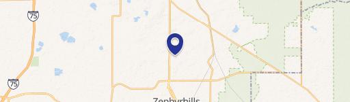 Zephyrhills, FL 33540