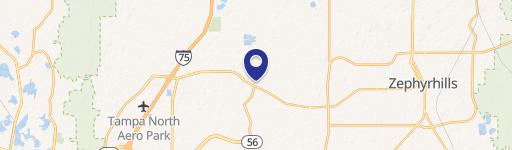 Wesley Chapel, FL 33543