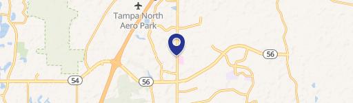 Wesley Chapel, FL 33544