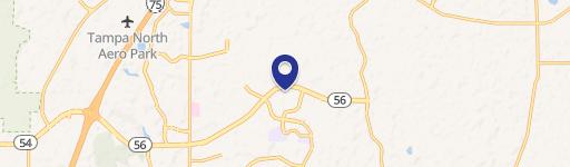 Wesley Chapel, FL 33543