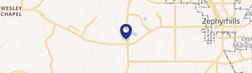 Wesley Chapel, FL 33545