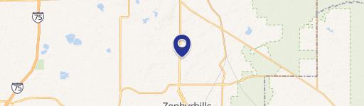 Zephyrhills, FL 33541