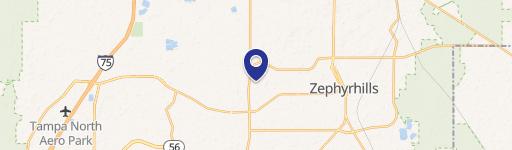 Zephyrhills, FL 33541