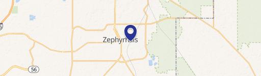 Zephyrhills, FL 33542