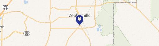 Zephyrhills, FL 33541