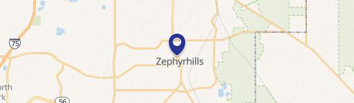 Zephyrhills, FL 33542
